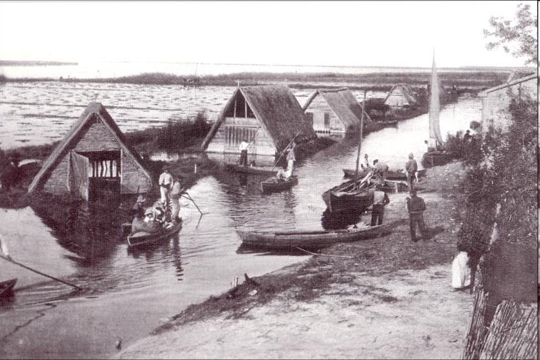 Old picture from La Albufera, Valencia, the place where rice was introduced to Spain and where eventually Paella was born